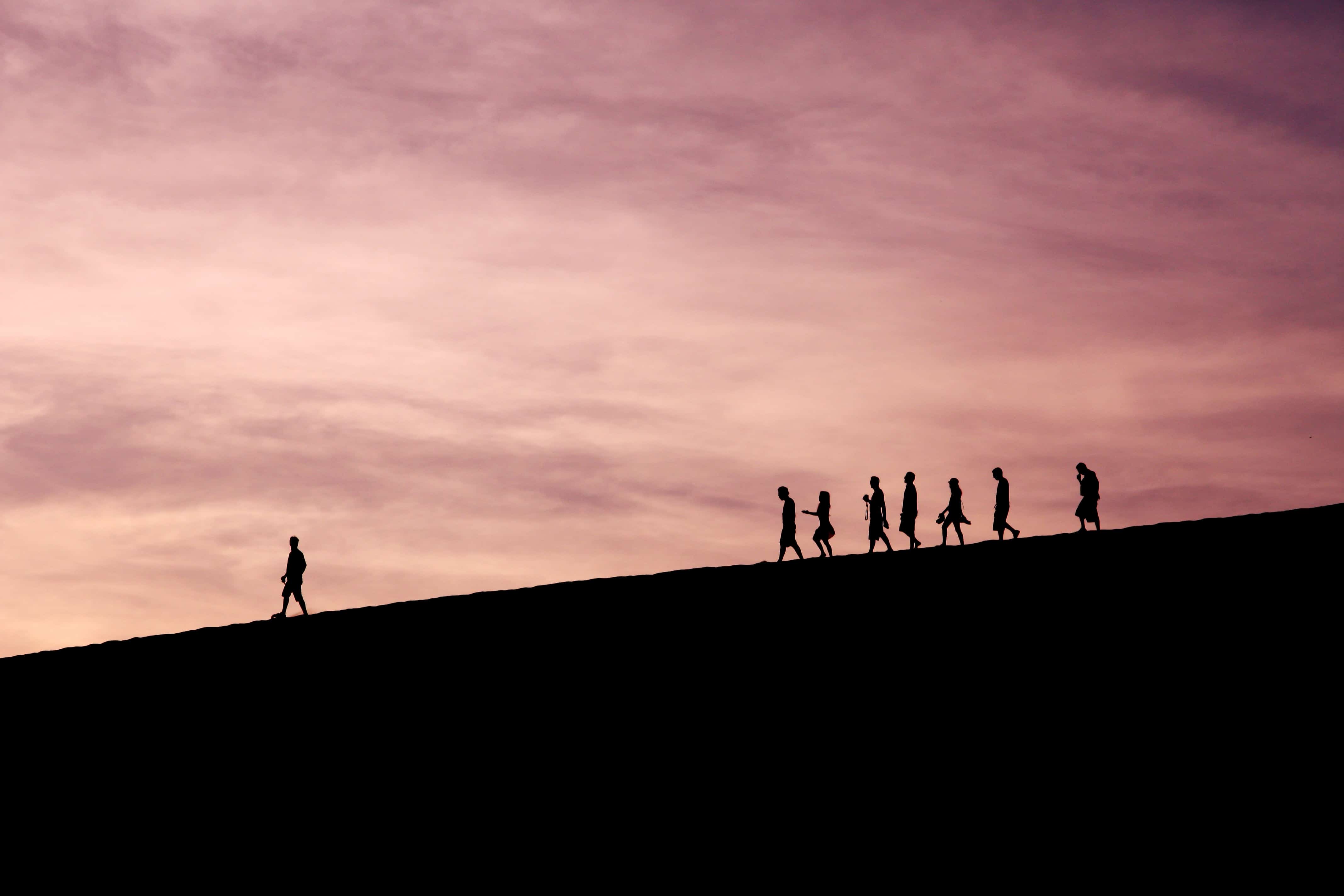 Person leading a group down a dune against a sunset