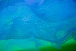 Blue and green net