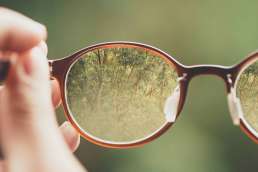 Glasses with focused trees within lens and surrounding background around glasses blurry