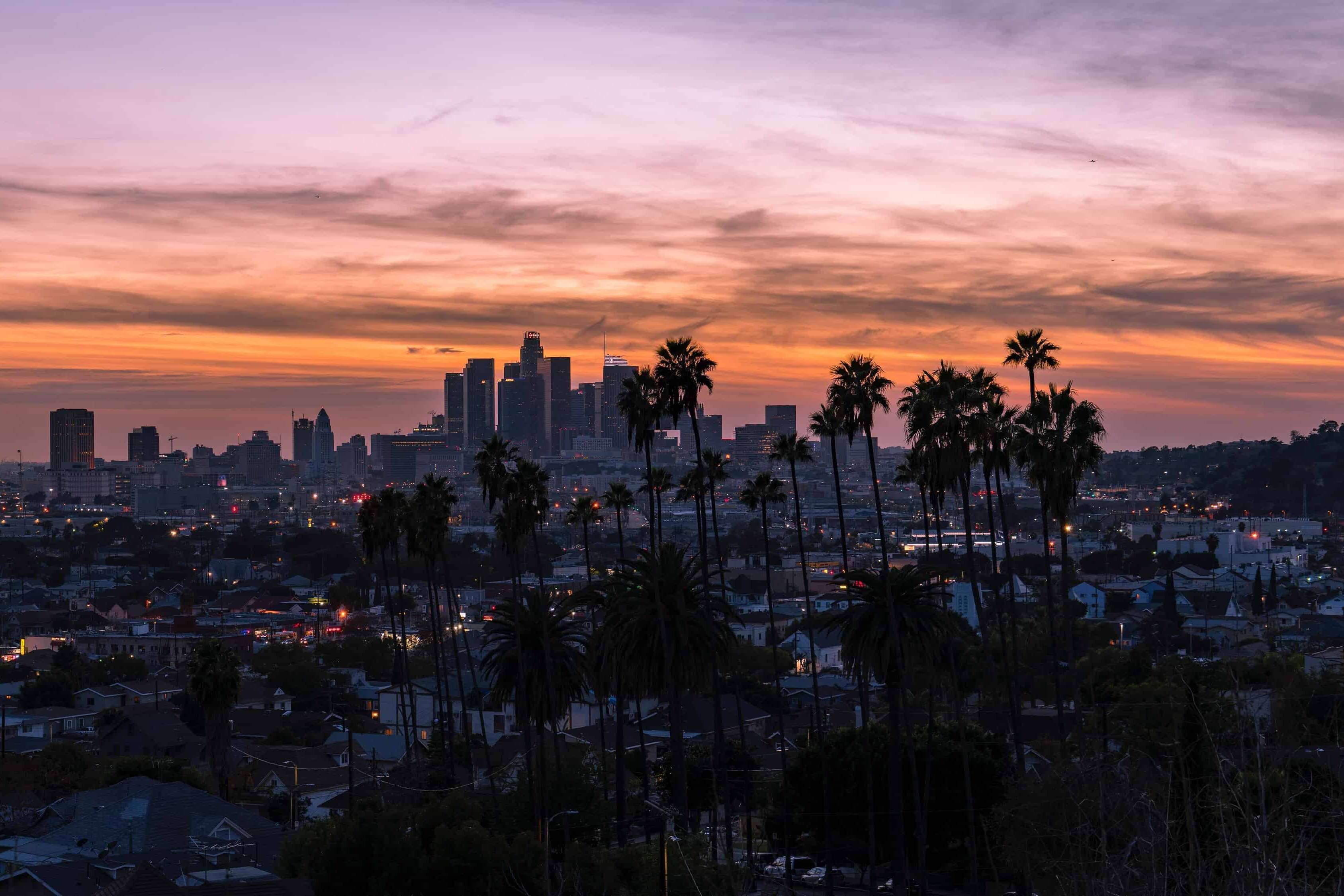 A cityscape with palm trees and a sunset in the background