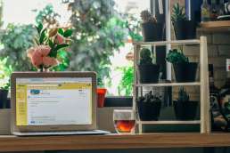 Laptop with emails surrounded by potted plants and next to a cup of tea