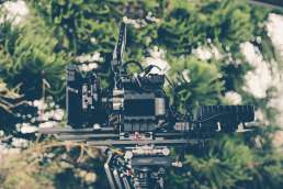 Photo of film camera against blurry foliage background