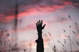 A hand reaching out of tall grass with the sunset behind it