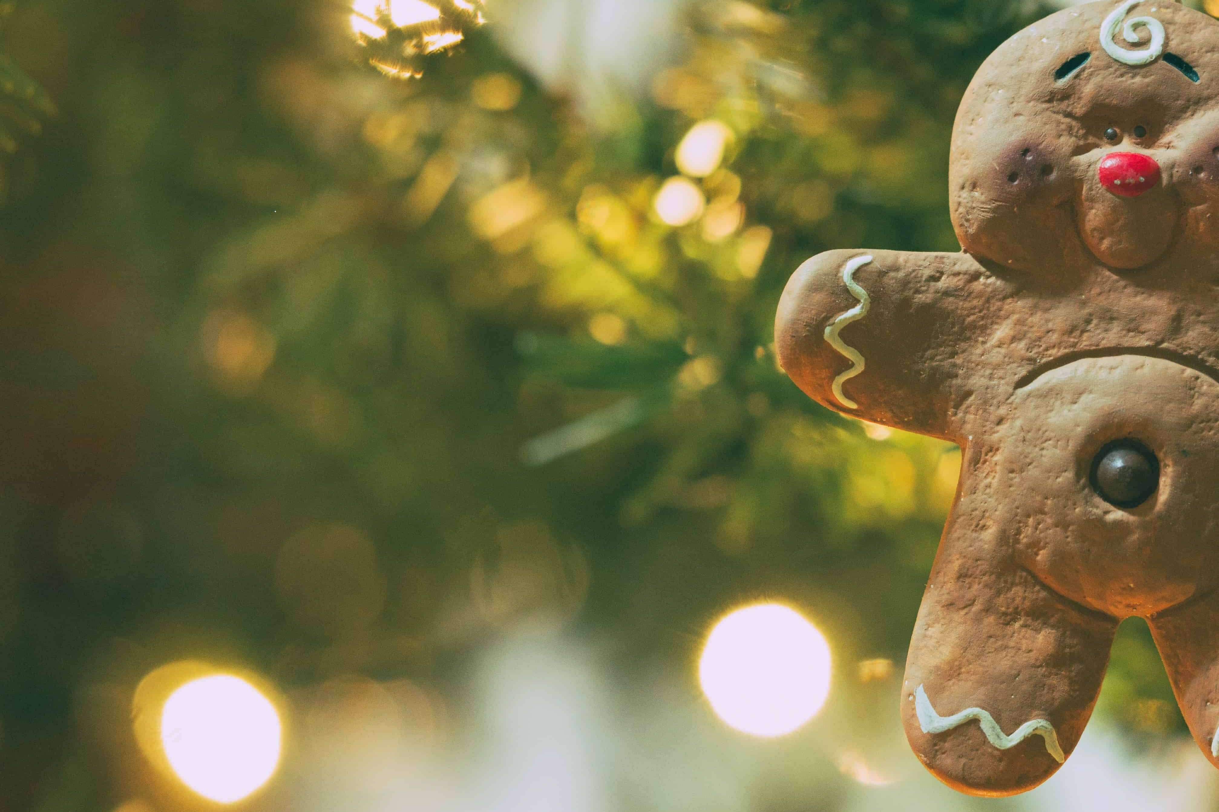 Gingerbread man ornament on evergreen tree with fairy lights