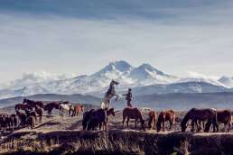 Cowboy and horses with mountains in the background